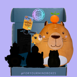 Capybara - July Subscription Toolbox